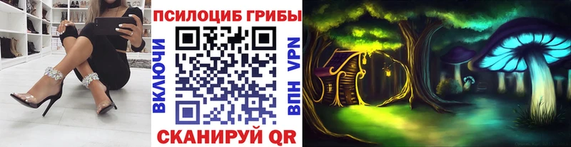 Галлюциногенные грибы MAGIC MUSHROOMS  Плавск 